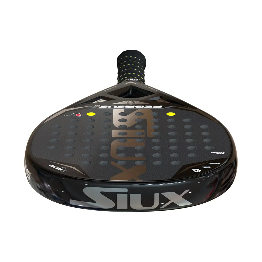 Siux  PEGASUS  1K
